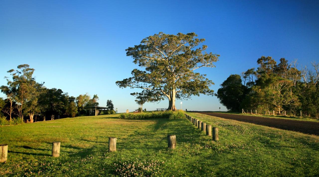 Oaks Toowoomba Hotel Eksteriør billede